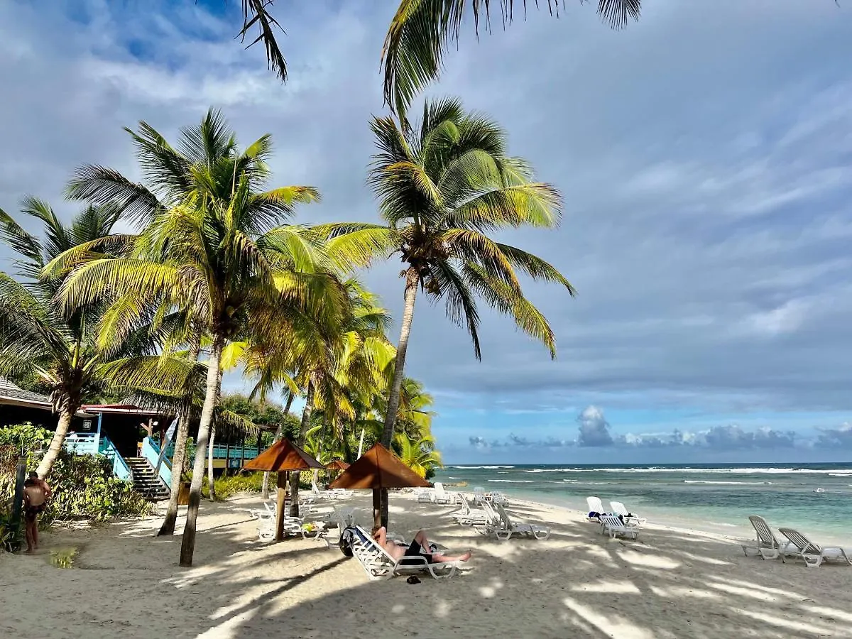 Ti Kaz Coco Douceuw Sea View Apartment Sainte-Anne
