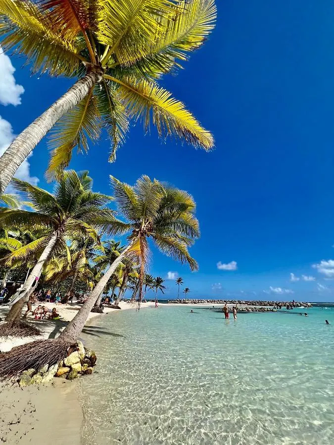 Ti kaz COCO DOUCEUW PIERRE ET VACANCES sea view Sainte-Anne  Appartement